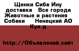 Щенки Сиба Ину доставка - Все города Животные и растения » Собаки   . Ненецкий АО,Куя д.